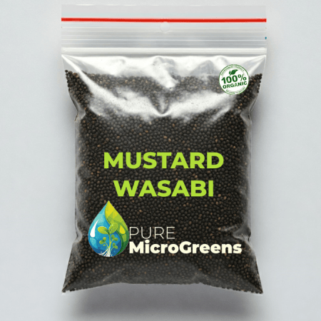 Organic Mustard Wasabi Seeds