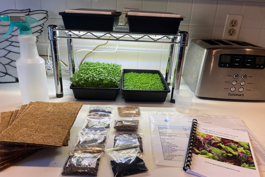 Deluxe MicroGreen Grow Kit